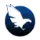 Hawk